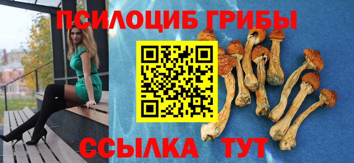 Муравленко  как найти   Вход с VPN  Псилоцибиновые грибы прущие грибы 